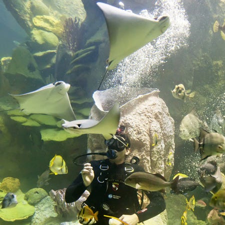 Foto tomada en Acuario de Nueva Inglaterra  por New England Aquarium el 3/27/2014