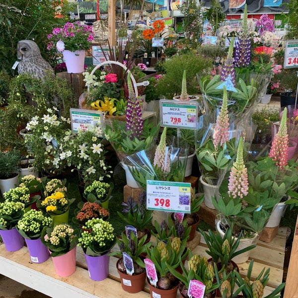 スーパービバホーム ガーデンセンタ ピアラシティ1 1 140