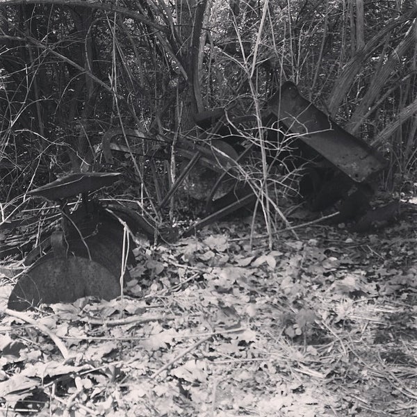 Sycamore State Park State or Provincial Park in Dayton