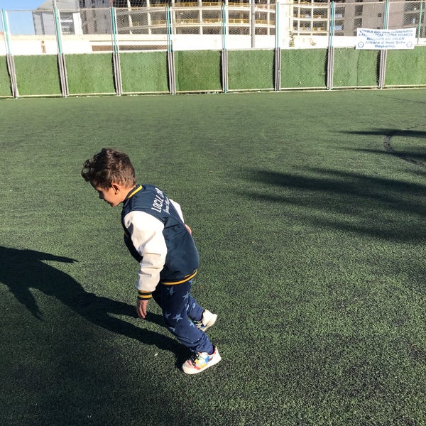 dsi 5 bolge hali saha