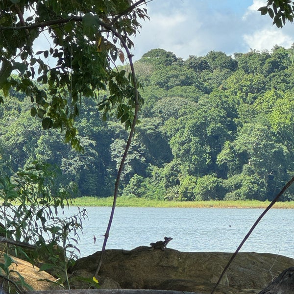 รูปภาพถ่ายที่ Gamboa Rainforest Resort โดย Đorđe P. เมื่อ 10/7/2023