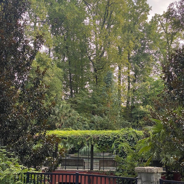 9/20/2023 tarihinde Đorđe P.ziyaretçi tarafından Atlanta Botanical Garden'de çekilen fotoğraf