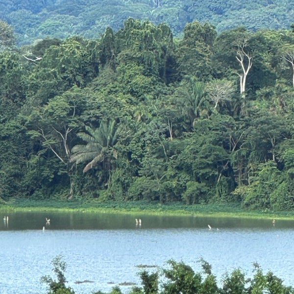 Das Foto wurde bei Gamboa Rainforest Resort von Đorđe P. am 10/6/2023 aufgenommen