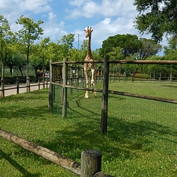 Foto tirada no(a) Parco Zoo Punta Verde por Marcos G. em 7/2/2014