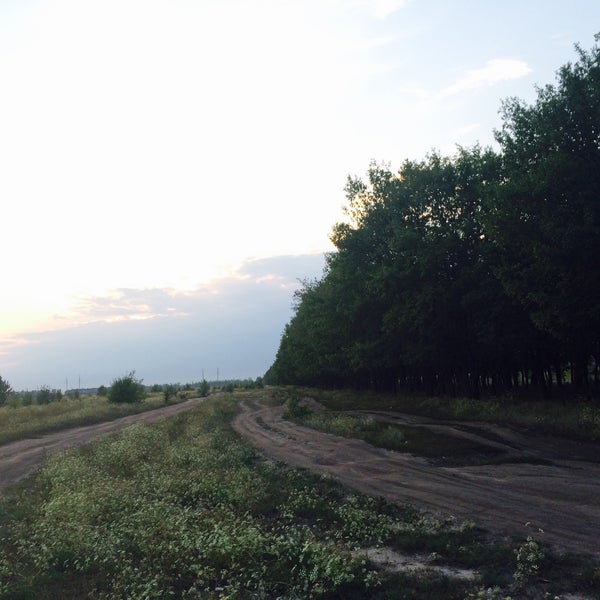 Атлас дубки Атлас дубки
