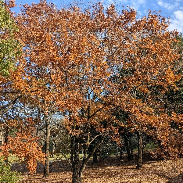 Photos At 花川運動公園 1 Tip