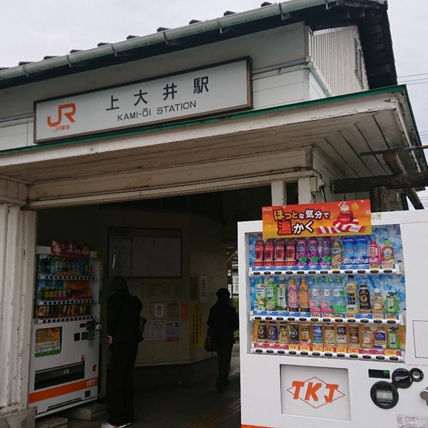 Дзигокудаю идзанами. Аматэрасу богиня солнца в японии. Okami демон. Японская богиня луны цукиёми. Ватацуми бог дракон.