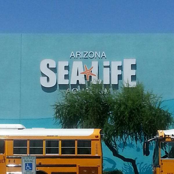 รูปภาพถ่ายที่ Sea Life Aquarium โดย Beth V. เมื่อ 5/16/2014