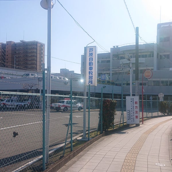 芦原自動車教習所 浪速区 73 Visitors