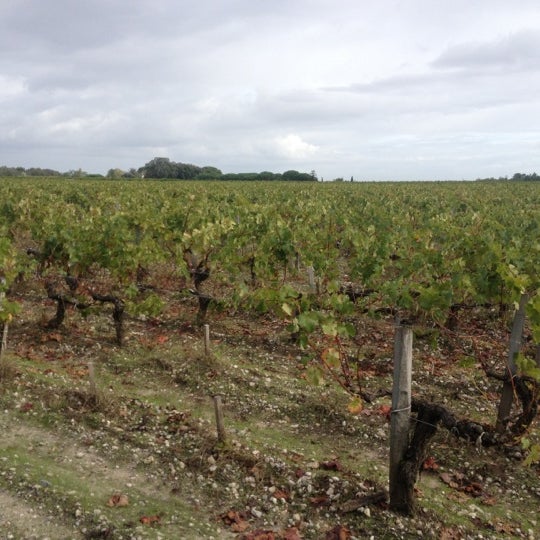 10/13/2012 tarihinde Cedric O.ziyaretçi tarafından Château Du Tertre'de çekilen fotoğraf