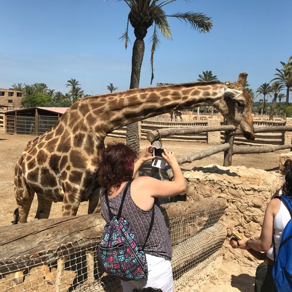 Photo taken at Rio Safari Elche by Andrey S. on 5/31/2017