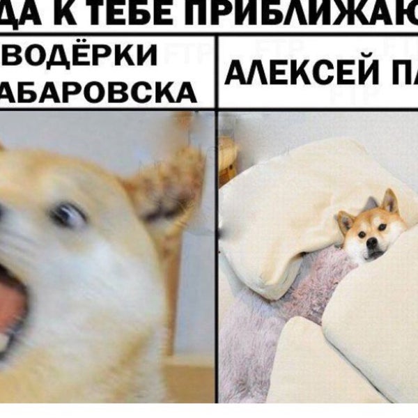 Панин и собака мем Photos at Mercedes-Benz Fashion Palace - Оболонь - 1 tip