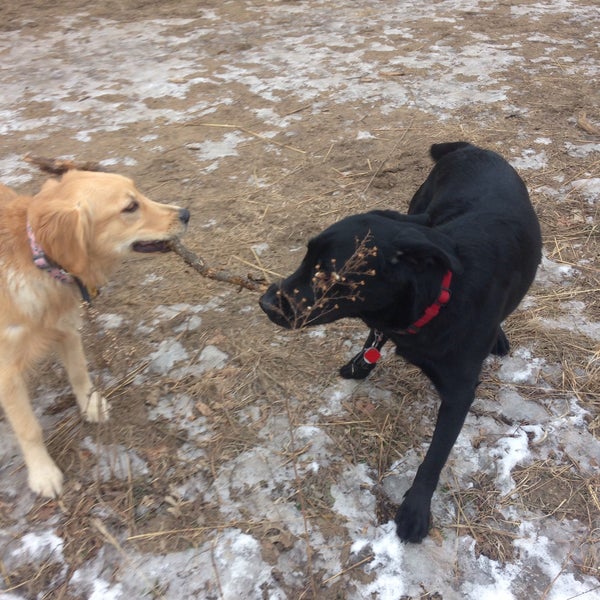 Dale Road Dog Park Saint Paul, MN