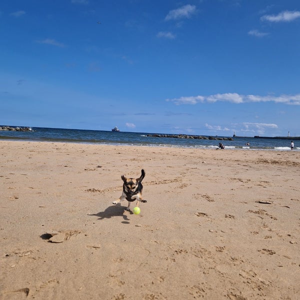 Aberdeen Beach Beach