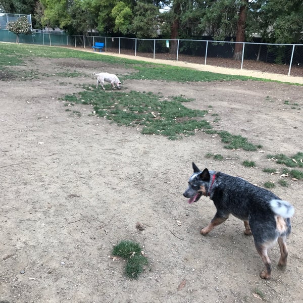 Photos at Las Palmas Dog Park Sunnyvale, CA
