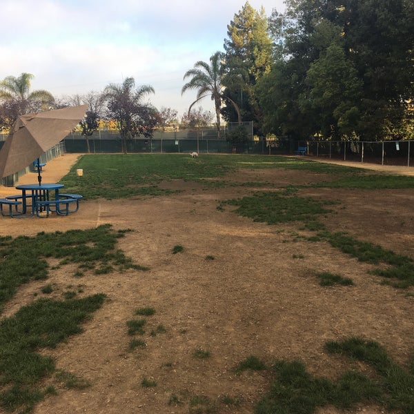 Photos at Las Palmas Dog Park Sunnyvale, CA