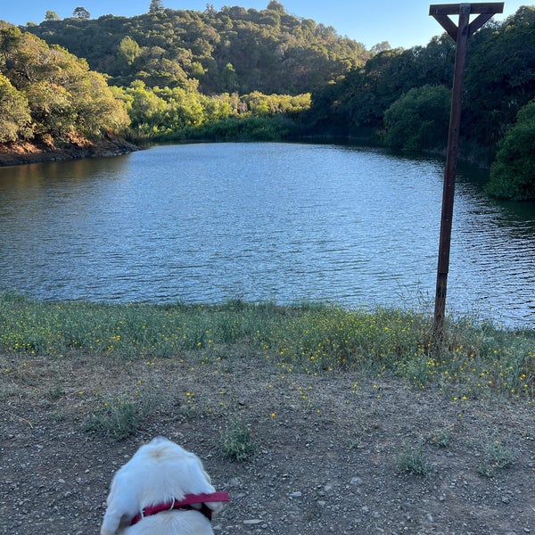 Water Dog Lake Park Hiking Trail