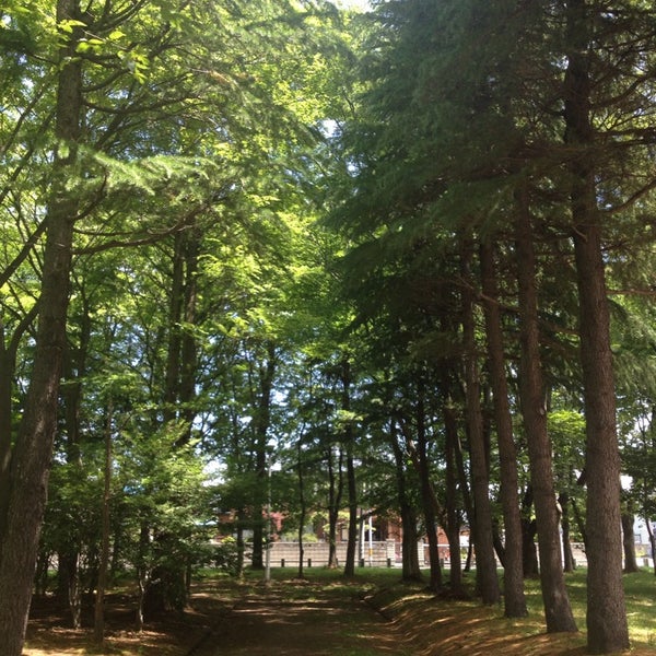 Photos At 勝田公園 Park In 青森市