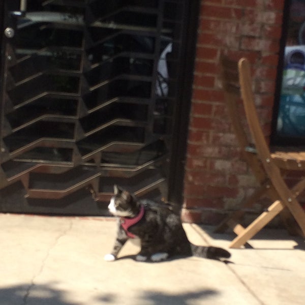 5/17/2015 tarihinde Mike H.ziyaretçi tarafından Smelly Cat Coffeehouse'de çekilen fotoğraf