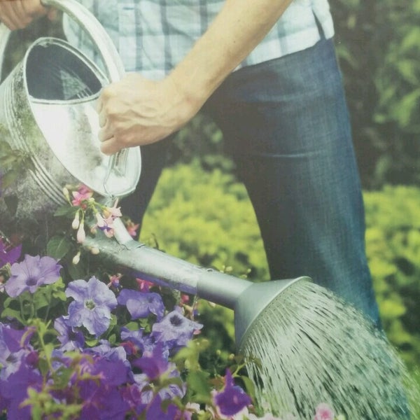 Photos At Aveve Stekene Oost Vlaanderen