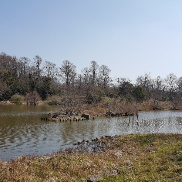 Photos At 水元公園バードサンクチュアリ Photos At 水元公園バードサンクチュアリ