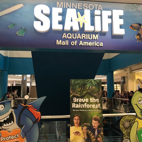 Photo taken at SEA LIFE Minnesota Aquarium by Göran G. on 3/24/2019