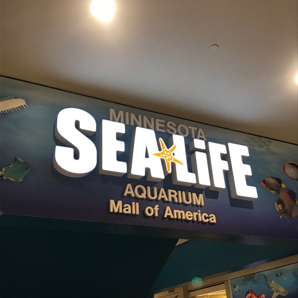 8/3/2019에 Göran G.님이 SEA LIFE Minnesota Aquarium에서 찍은 사진