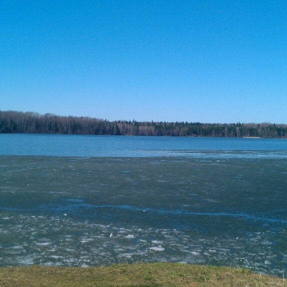 Гагаринское водохранилище. Река королевка яузское водохранилище. Река королевка яузское водохранилище. Вышневолоцкое водохранилище вышний волочёк. Яузское водохранилище смоленская область.