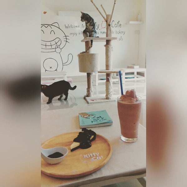 Photo taken at Kitty Cat Café by Xitrotn N. on 5/24/2015