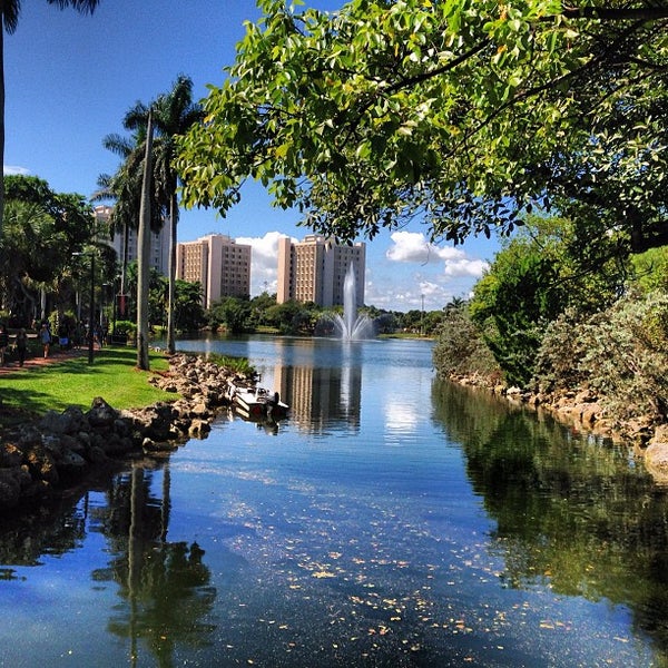 University Of Miami University Of Miamiの大学