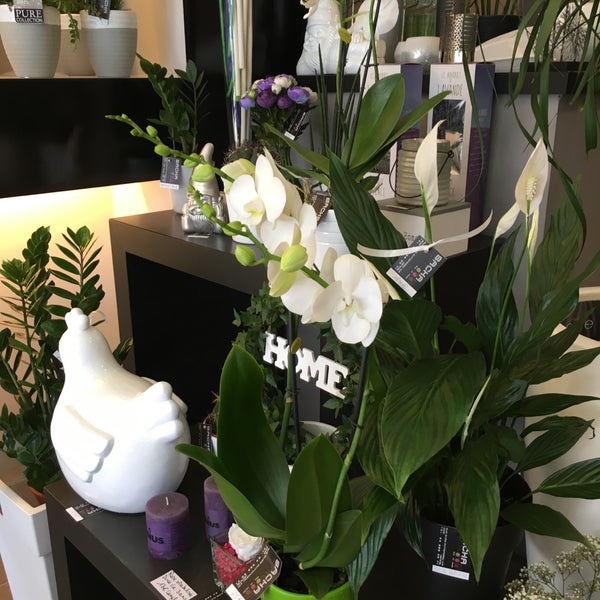 Photos At Sacha Fleurs Vin Chocolat