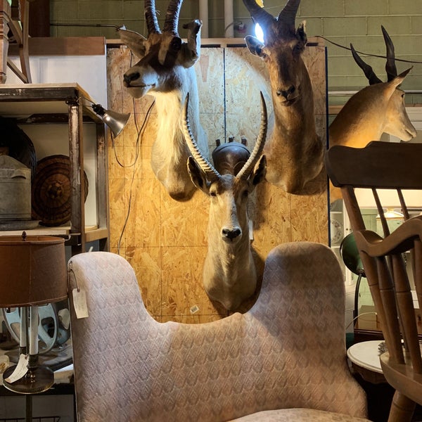 Photo taken at Hudson Antique and Vintage Warehouse by Caitlin on 1/22/2019
