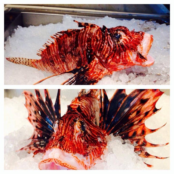Foto tirada no(a) Fish Fish Restaurant, Bar, &amp; Market por Fish Fish Restaurant, Bar, &amp; Market em 4/8/2014
