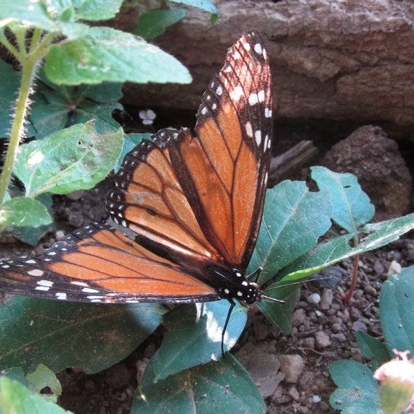 Photo taken at Denison Pequotsepos Nature Center by Denison Pequotsepos Nature Center on 4/8/2014