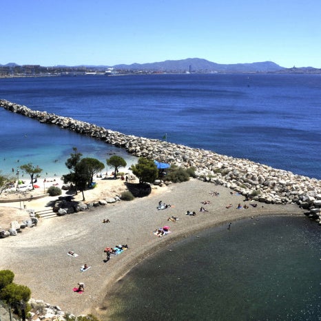 Plage De La Lave 31 Visitors