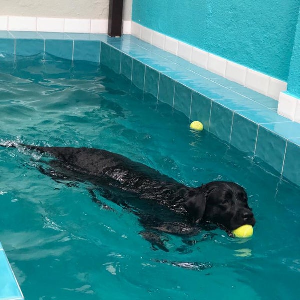 Foto tirada no(a) Ventura Veterinária &amp; Petshop por Ventura Veterinária &amp; Petshop em 9/30/2019