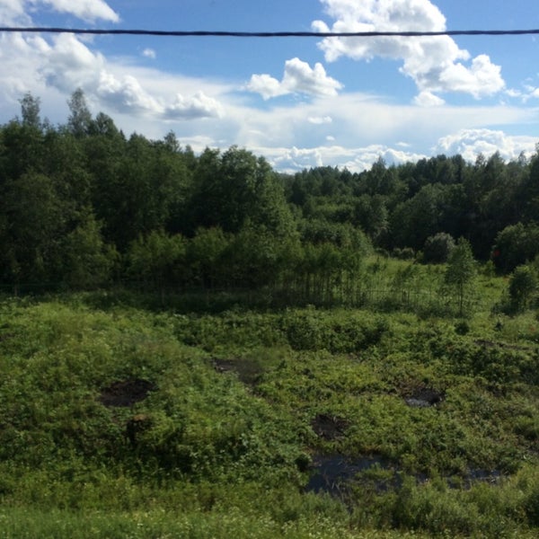 Бурга новгородская область. Новгородская область маловишерский район бурга деревня. Маловишерский район дер бурга. Бурга новгородская область маловишерский район. Д бурга.