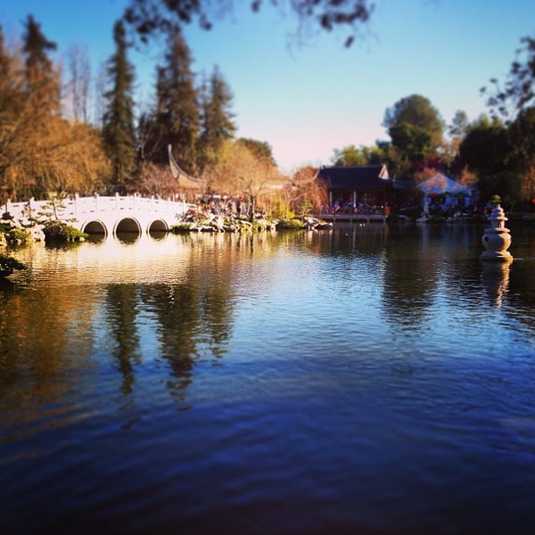 The Huntington Library, Art Collections, and Botanical Gardens Museum