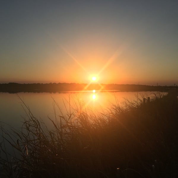 Hornsby Bend bird observatory Nature Preserve in Austin
