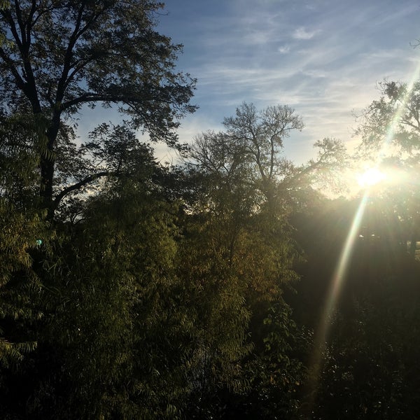 Boggy Creek Park Park in Austin