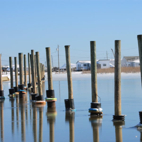 Photos At Section 5 Marina Harbor Marina In Mastic Beach