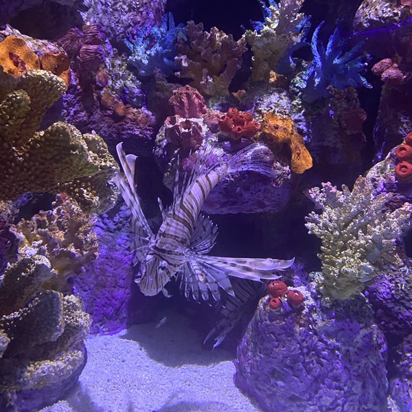 Photo taken at Funtastic Aquarium İzmir by Betül🧸 on 12/20/2022