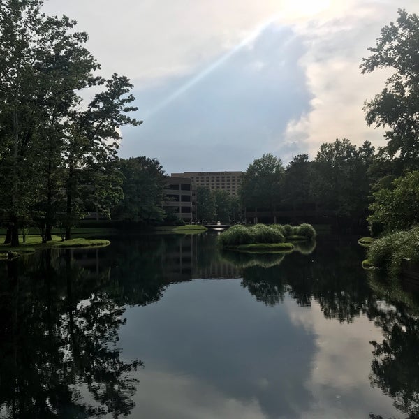 Strayer university. Strayer university