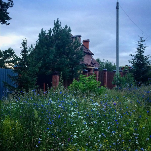Егнышевка тульская область пляжи. Егнышевка 2005 фото. Егнышевка деревня. Егнышевка ока. Егнышевка пляж.
