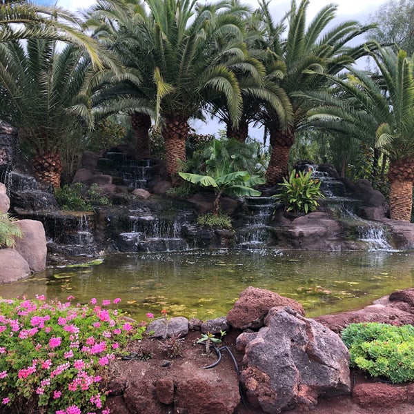รูปภาพถ่ายที่ Oasis Park Fuerteventura โดย Mark F. เมื่อ 1/13/2018