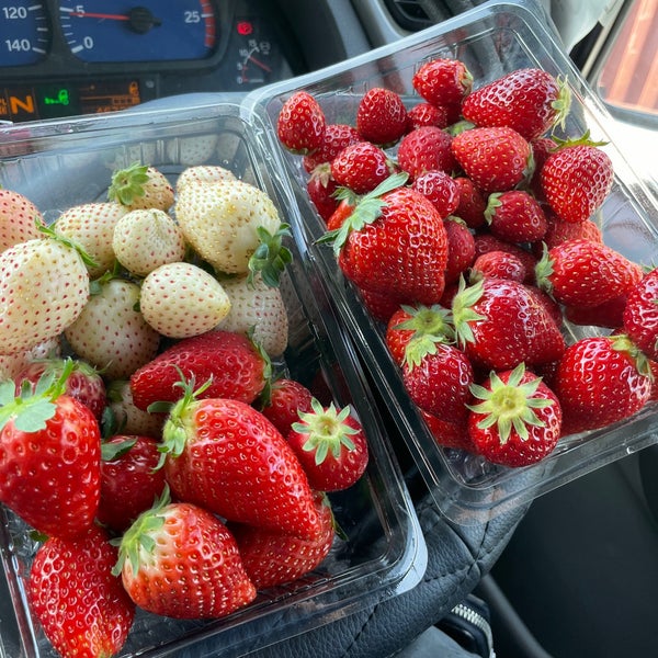 Photos At いわふねフルーツパーク Farm