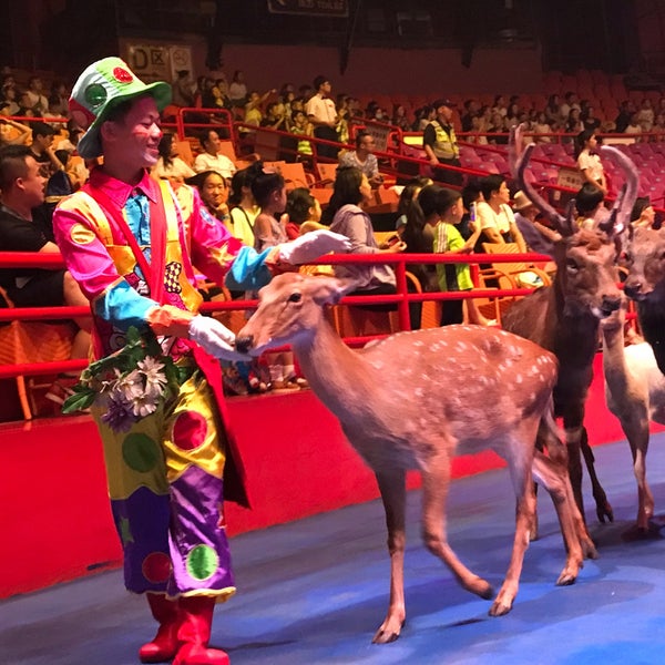Братья демидовы цирк. 04 2024. • международный цирк «чанг лонг». Цирк в городе бишкек. 04 2024.