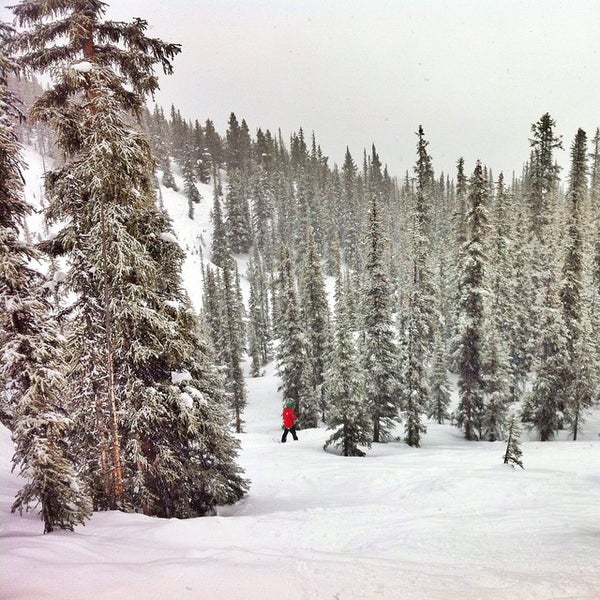 Photo taken at Marmot Basin by Cameron W. on 1/19/2015