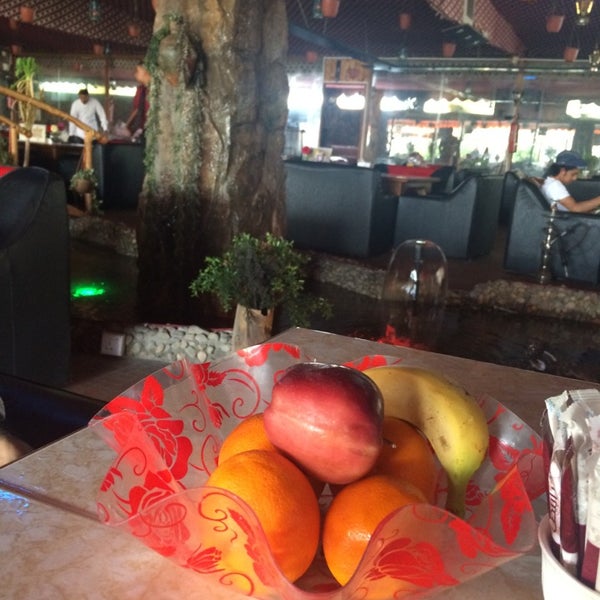 Кафе шамс владивосток