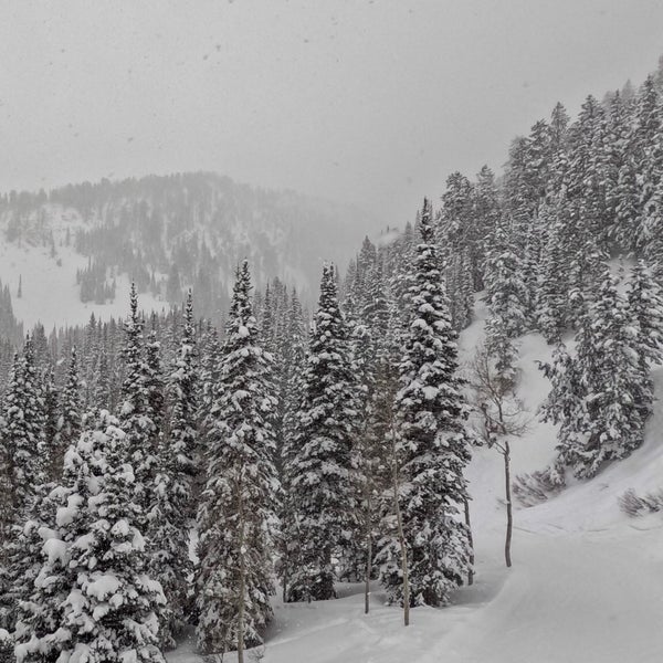 2/21/2023 tarihinde ADEL Hazziyaretçi tarafından Vail Ski Resort'de çekilen fotoğraf